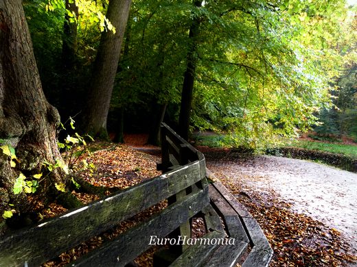 bench - euroharmonia